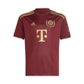2022-23 FC Bayern Múnich Especial Edición Equipación